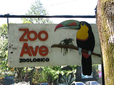 Zoo,san diego zoo,bronx zoo,zoo near me,brookfield zoo